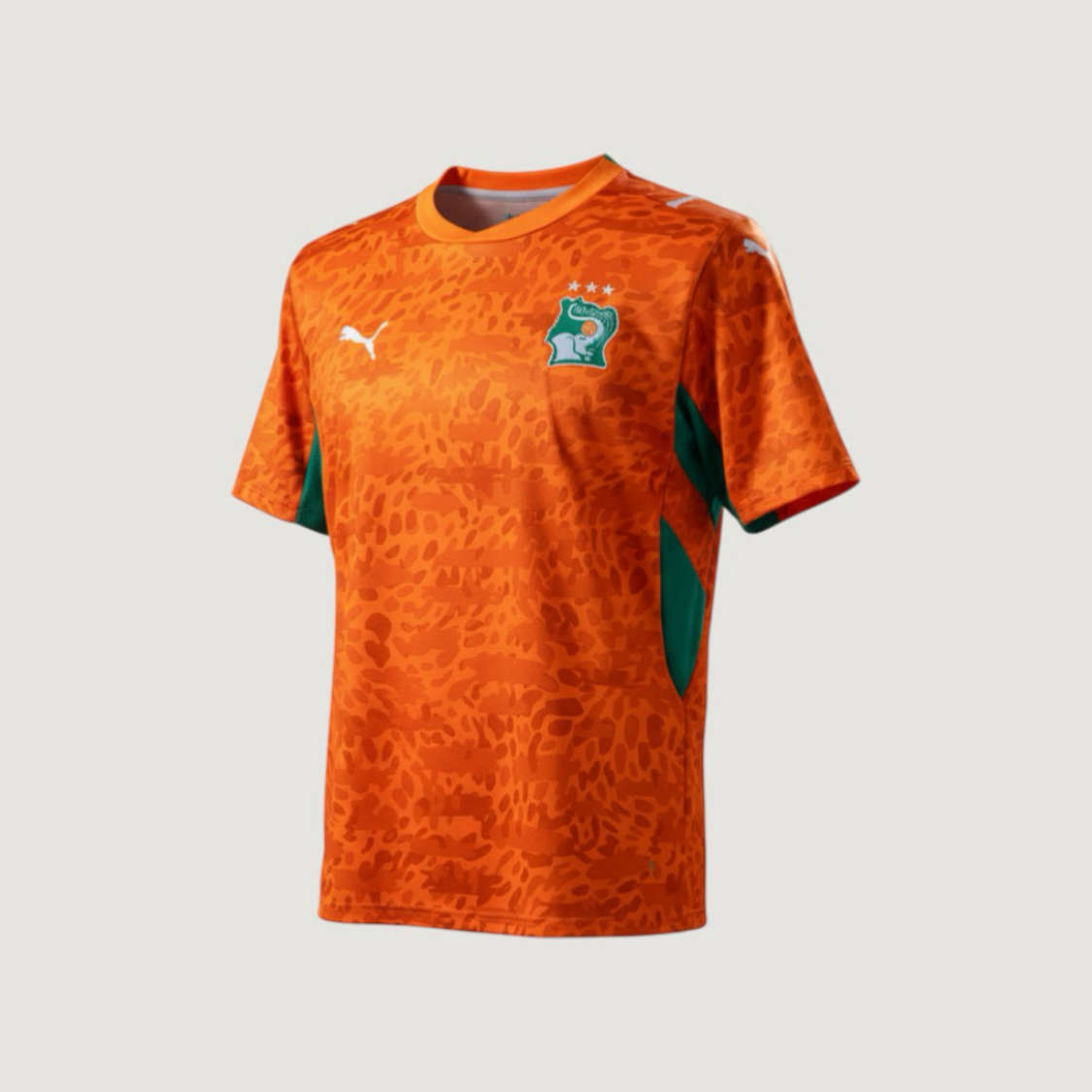 Ivory Coast – Jersey Home 2026/27 Men – Orange, Green