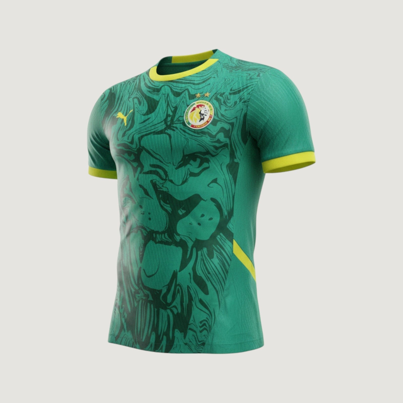Senegal – Jersey Home 2024/2025 (2 Stars CAN 2025) – Green