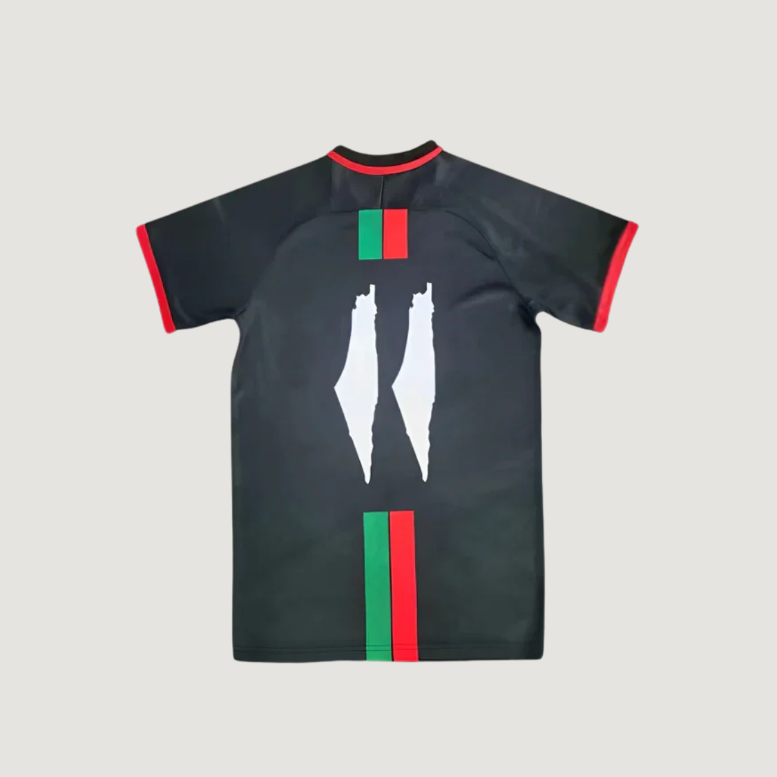 Palestine – Maillot Édition Spéciale 2023-2024 – Noir, Rouge, Vert, Blanc - Covred