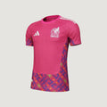 Mexique – Maillot Gardien Coupe du Monde 2026 – Rose, Violet, Multicolore - Covred